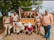 मंगी (सावरगांव) येथे अवैद्यरित्या गोवंशीय 6 जनावरांची कत्तलीसाठी जाणाऱ्या जनावरांना पारवा पोलीसांनी दिले जिवदान.