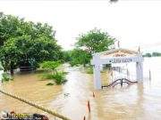 हिवरा परिसराला ढगफुटी सदृश्य मुसळधार पावसाचा तडाखा