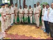 पारवा वन परिक्षेत्र कार्यालयातंर्गत वन्यजीव सप्ताहनिमित्त वन विभागाकडून जनजागृती..!