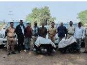 समृद्धी महा मार्गावर डिझेल चोरी करणारी टोळी पकडली ,