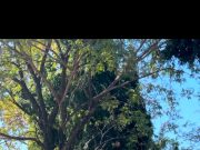 महापेक्स – २०२५ च्या अनुषंगाने ई-बायसिकल यात्रेचे यवतमाळात उत्स्फूर्त स्वागत…