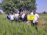 महाबीज चे मा. व्यवस्थापकीय संचालक, श्री. योगेशजी कुंभेजकर (भा.प्र.से) यांची कामठवाडा येथे शेतकऱ्यांच्या प्रक्षेत्रावर प्रत्यक्ष भेट