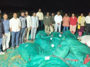 बुलडाणा जिल्ह्यात अफीम ची शेती साडेबारा कोटी चा माल जप्त ,