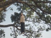 आंब्याच्या झाडाला गळफास घेऊन आणखी एकाची आत्महत्या!!