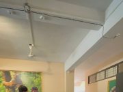 यवतमाळ वनविभागाला हादरा! ठिय्या आंदोलनानंतर चौकशी व कारवाईचे आश्वासन