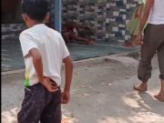 तिने भर रस्त्यावर आपल्या बापाचा गुप्तांगच कापून टाकला ,