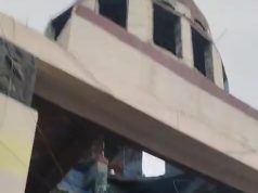 गार्डन पहायला गेले अन , विपरितच घडले ,