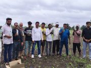 कृषी क्रांतिचे अग्रदूत माजी मुख्यमंत्री स्व.वसंतराव नाईक जयंतीनिमित्त अर्जुना येथे शेतकऱ्यांना कीटकनाशकाचे वाटप डॉ.नीरज वाघमारे यांचा पुढाकार