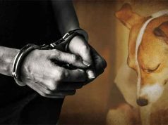 अल्पवयीन मुलीवर अत्याचार, आरोपीस वीस वर्षे सक्तमजुरी