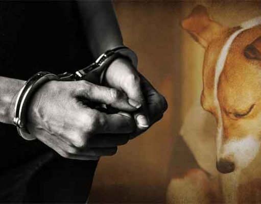 अल्पवयीन मुलीवर अत्याचार, आरोपीस वीस वर्षे सक्तमजुरी