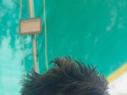 मुस्लिम समाजात मजबूत पकड ठेवणारे समाजसेवक माहेफुज कुरेशी, “सर्व पक्षांच्या नजरा केंद्रस्थानी”