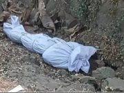 तेलंगणातील महिलेचा खून ; सारखणीच्या जंगलात आढळले मृतदेह.