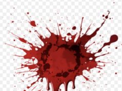 सासू- मेहुणीच्या हत्येप्रकरणी आरोपीस जन्मठेप