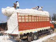 उमरखेड वेअर हाऊस ग्रेडरची प्रत्येक गाडी अडीच हजार रुपयांची मागणी.