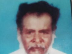 ७० वर्षीय शेख वजीर यांचा मधमाश्याच्या हल्यात मुत्यू