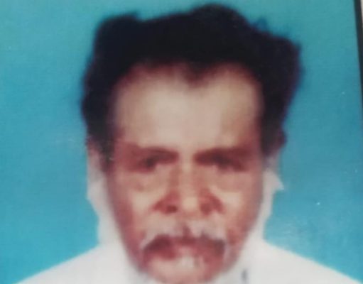 ७० वर्षीय शेख वजीर यांचा मधमाश्याच्या हल्यात मुत्यू