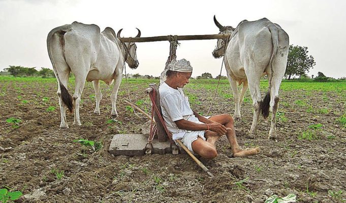 कर्जमाफी की शेतकऱ्यांच्या जखमेवर मीठ?